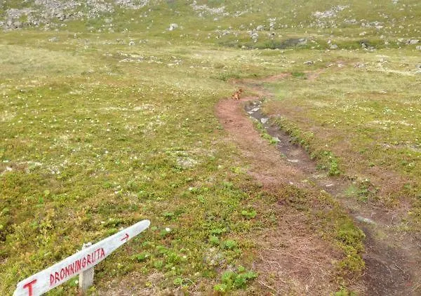 דירה Lovely 3 For In